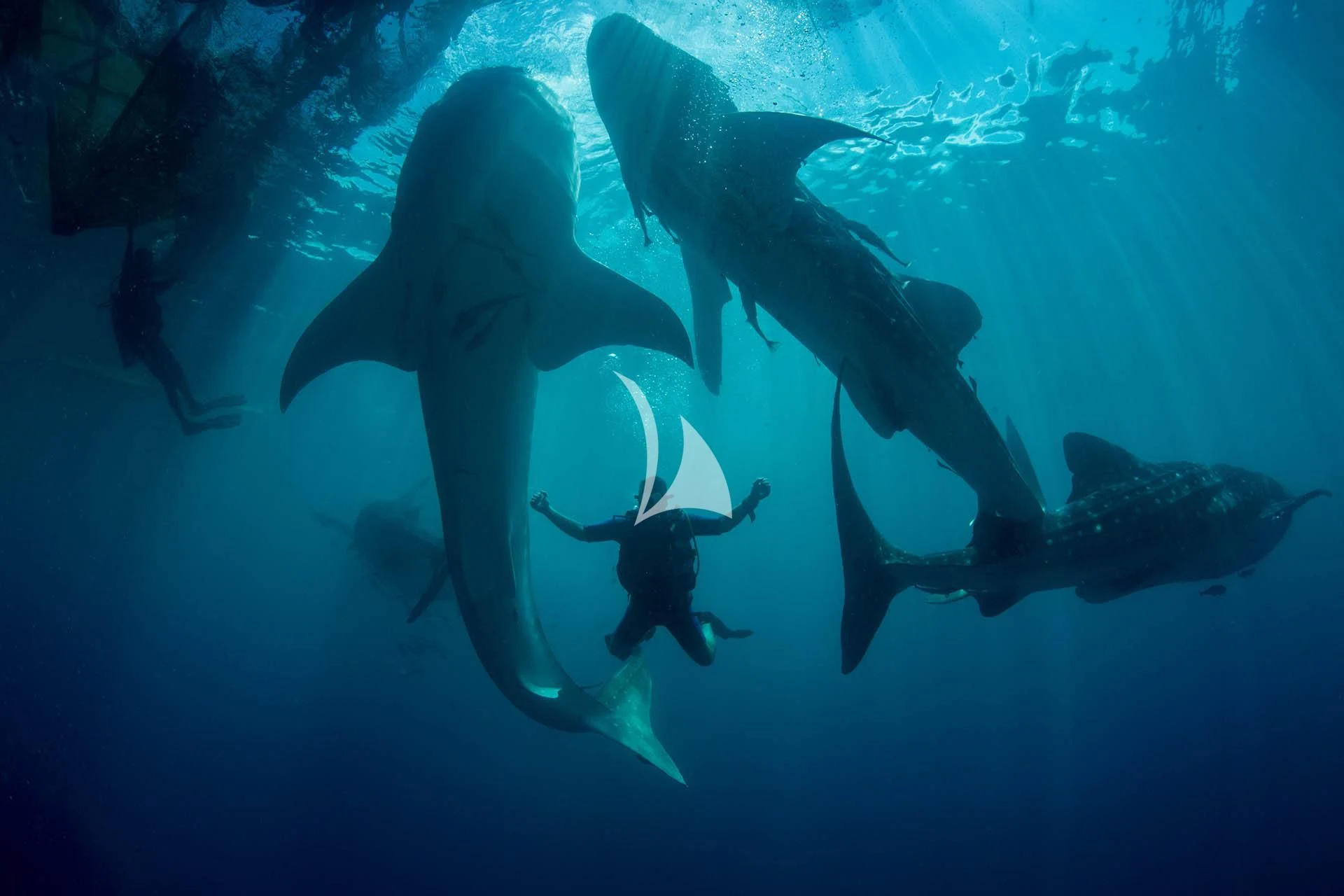 a group of people swimming underwater aboard KUDANIL EXPLORER Yacht for Sale