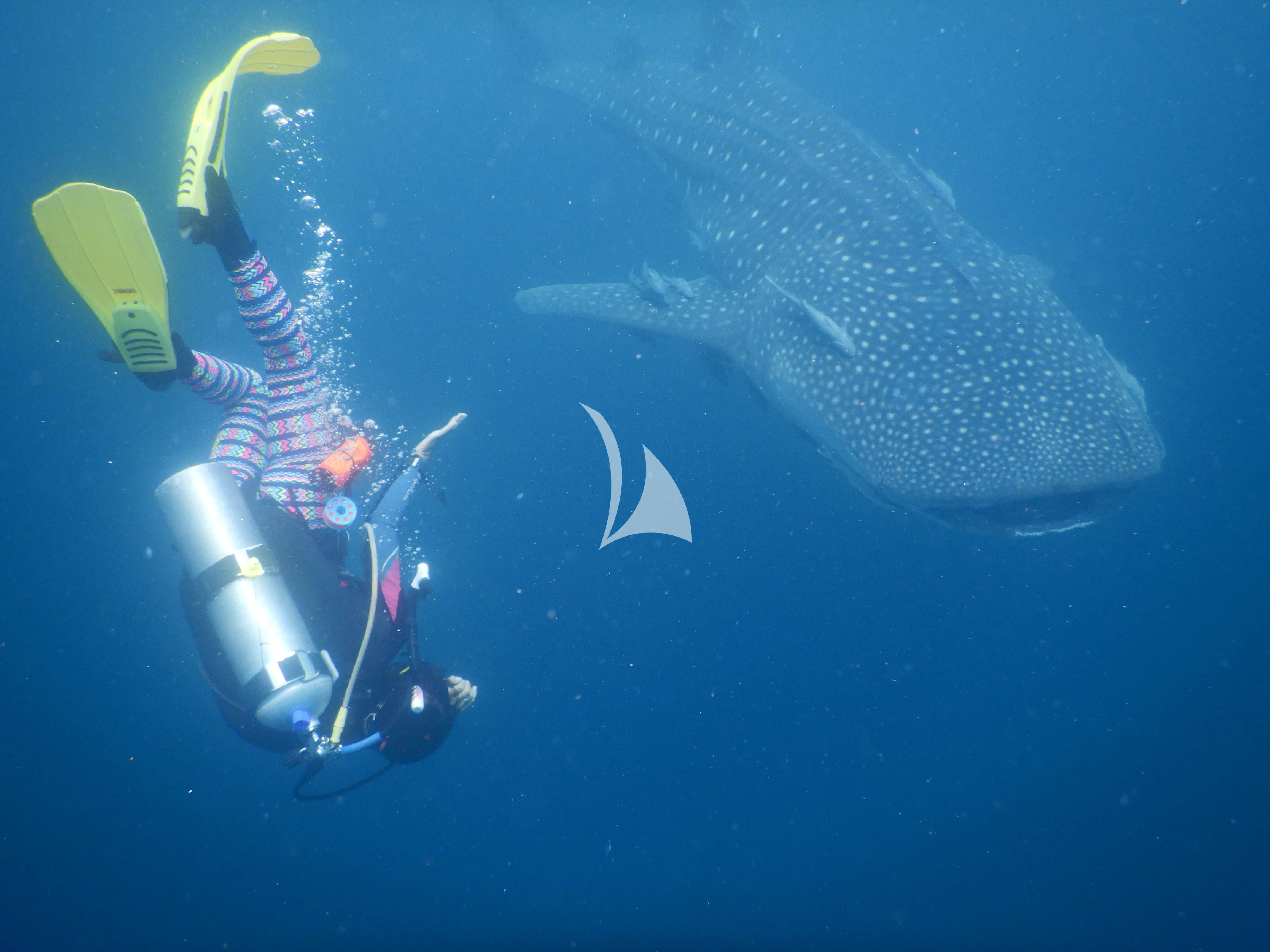 a person holding a guitar aboard KUDANIL EXPLORER Yacht for Sale
