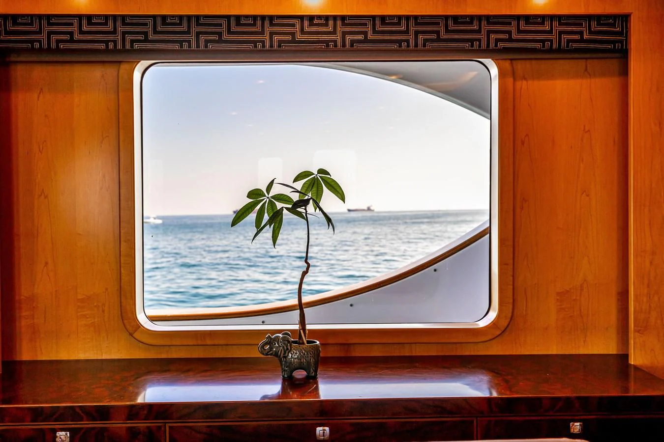 a plant in a window aboard SALVATORE II Yacht for Sale