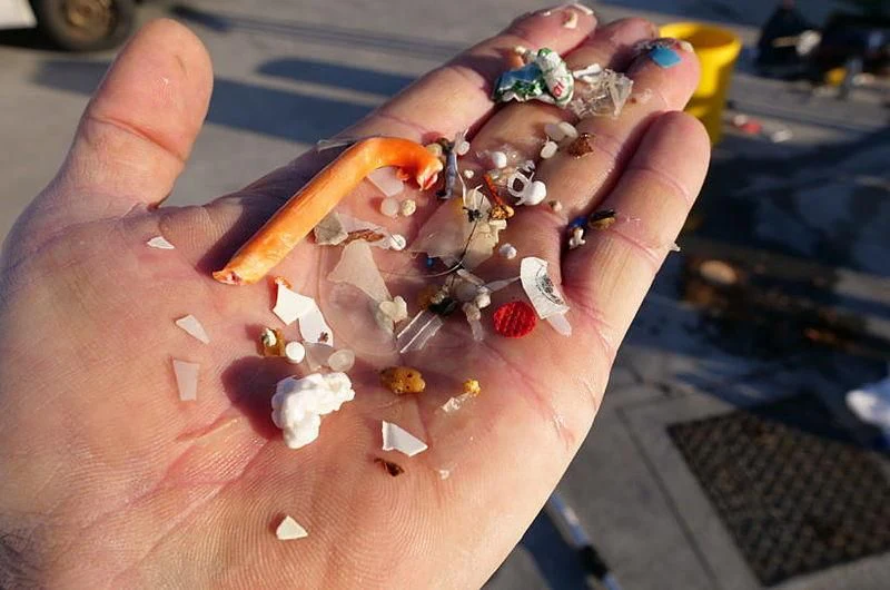 a hand holding a small pile of small objects aboard GARCON Yacht for Sale