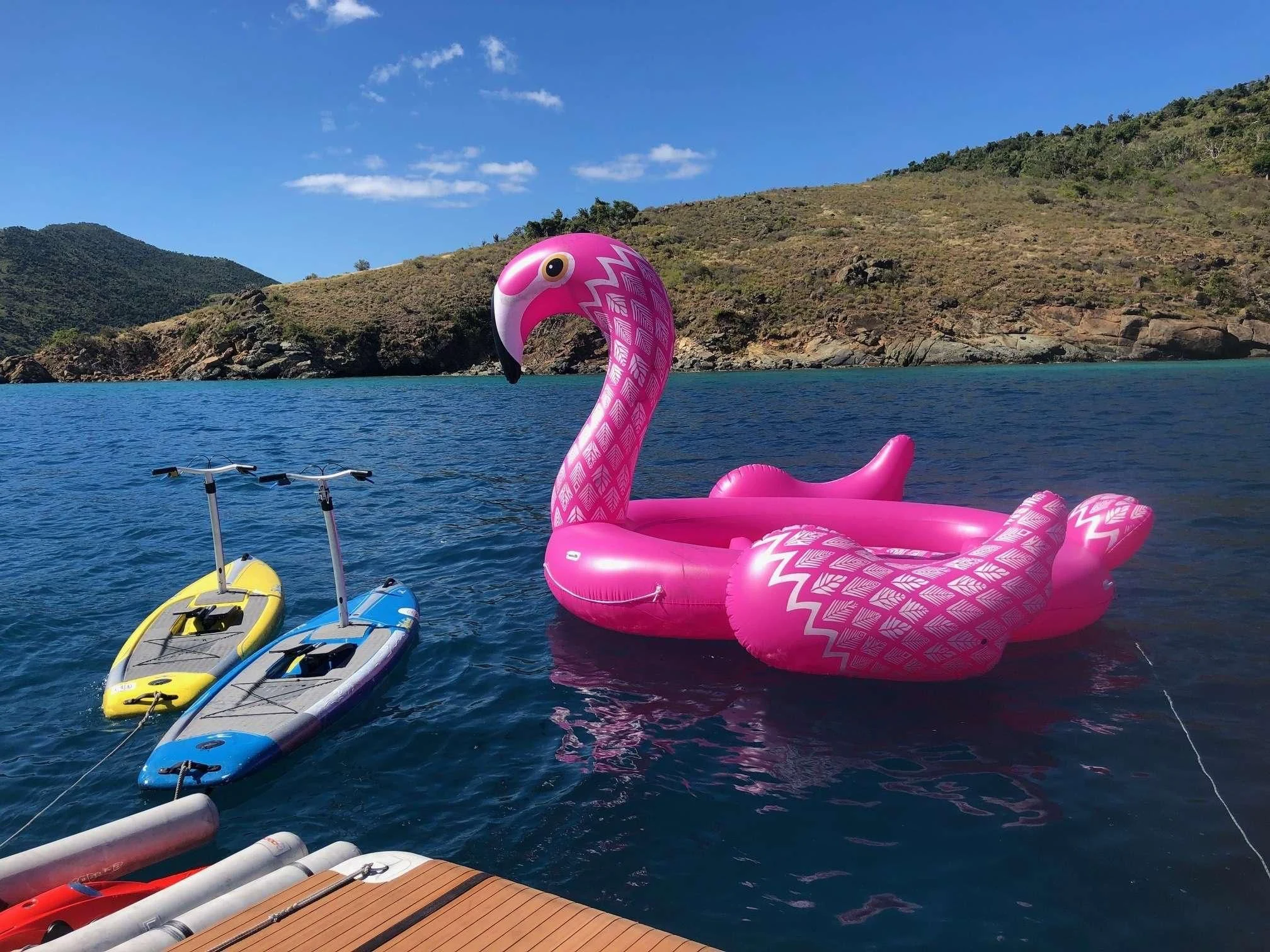 a pink and white duck in the water aboard CYNDERELLA Yacht for Sale