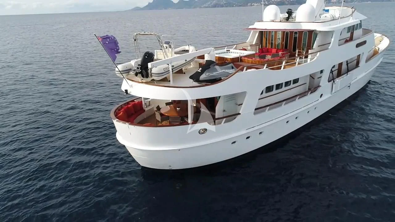 a boat in the water aboard SEA LION Yacht for Sale