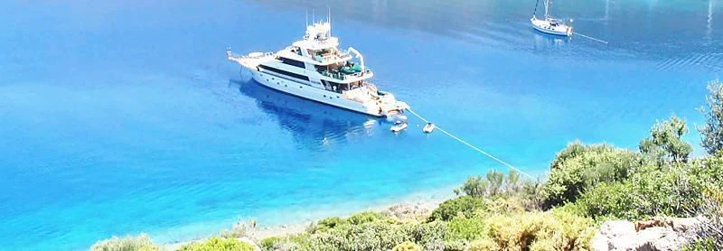 a group of boats in the water aboard FORTY LOVE Yacht for Charter