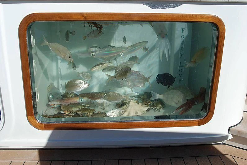 a fish tank with fish in it aboard FORTY LOVE Yacht for Charter