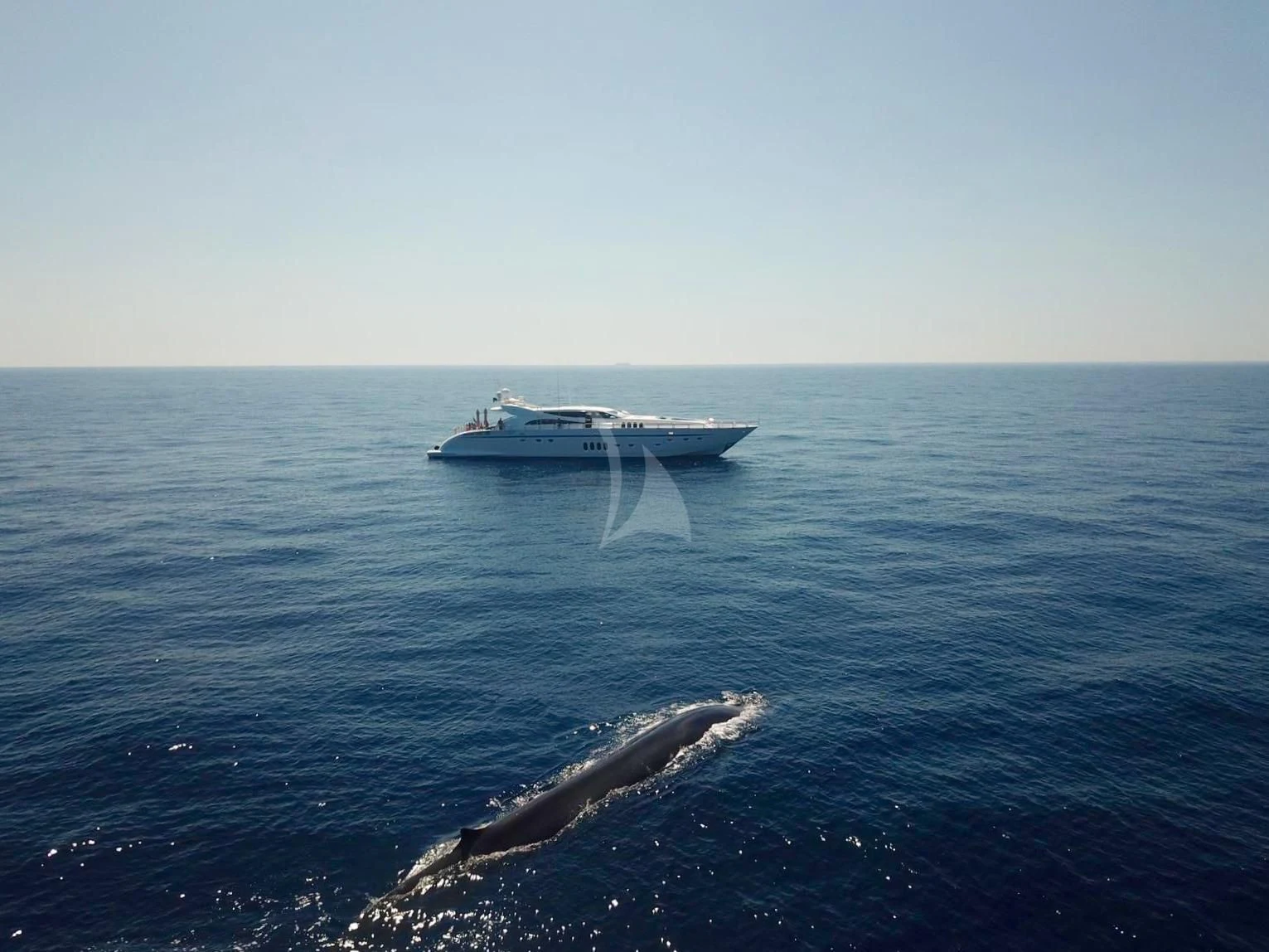 a boat in the water aboard KIDI ONE Yacht for Sale