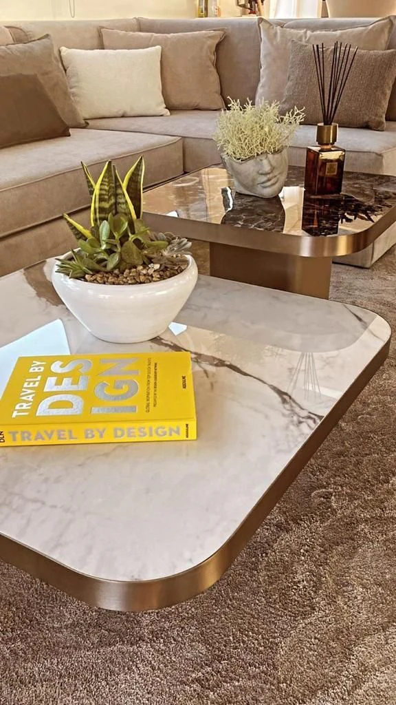 a table with a plant and a book on it aboard EVA Yacht for Charter