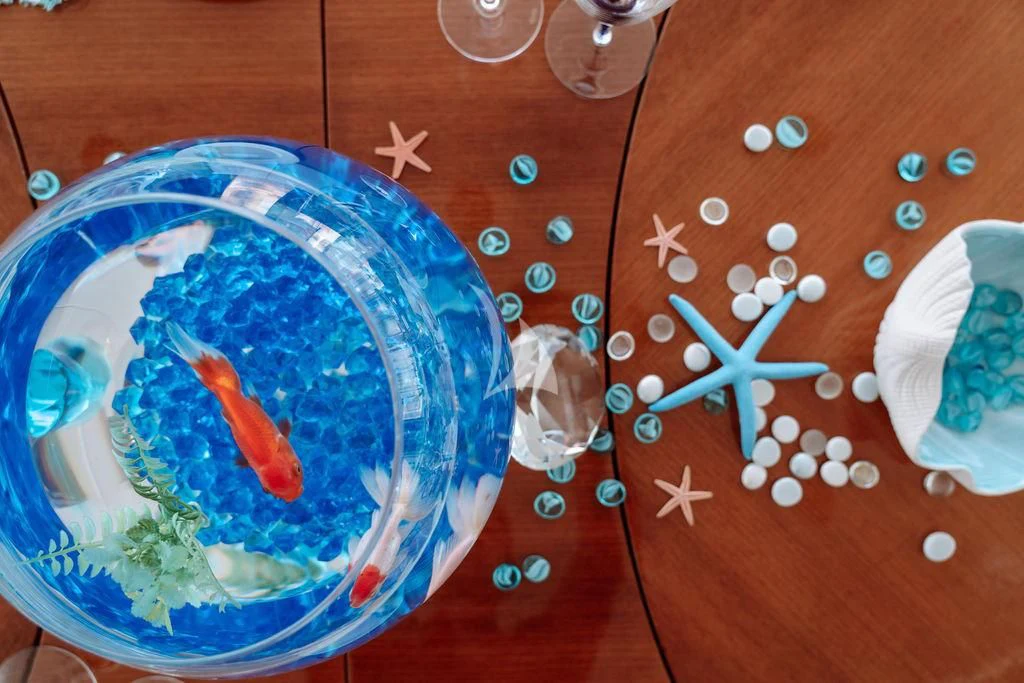 a fish bowl with a fish on it aboard RARE FIND Yacht for Charter