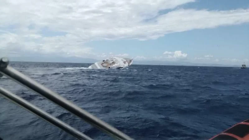 a whale jumping out of the water aboard MY SAGA Yacht for Sale