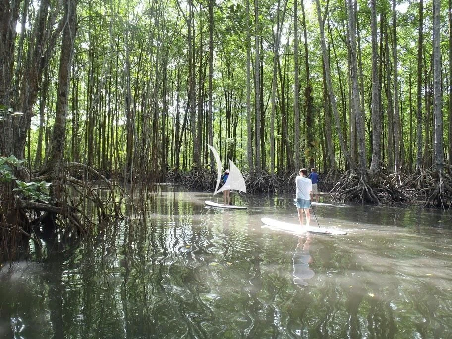a sailboat in a river surrounded by trees aboard LAMIMA Yacht for Sale