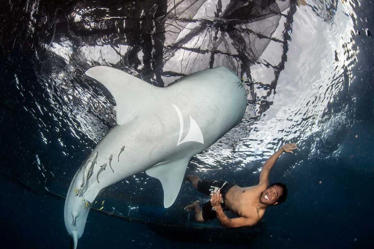 a man in a white suit in a blue water body aboard LAMIMA Yacht for Sale