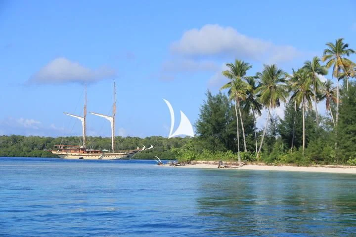 a boat on the water aboard LAMIMA Yacht for Sale