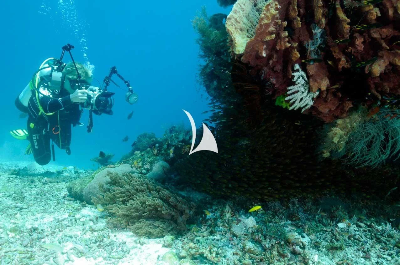 a scuba diver swimming in the water aboard LAMIMA Yacht for Sale