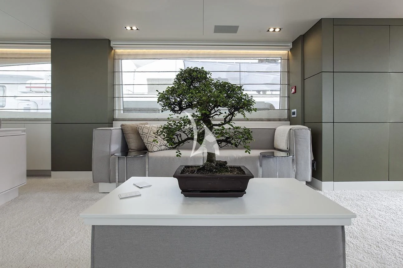 a white table with a plant on it aboard MANATEA Yacht for Sale