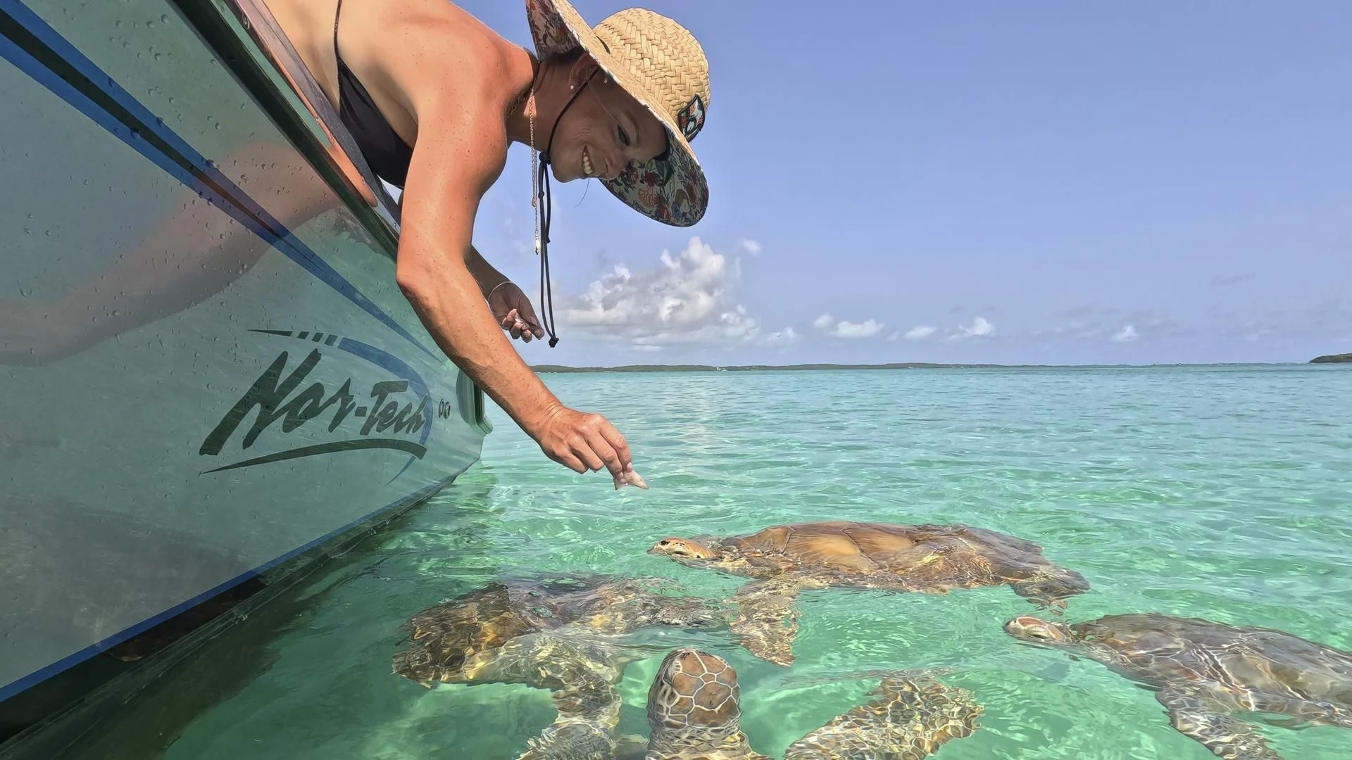 a person standing on a rock near the water aboard ENTREPRENEUR Yacht for Charter