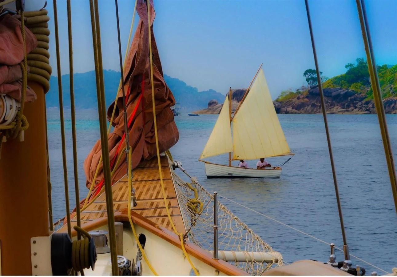 a group of sailboats on the water aboard DALLINGHOO Yacht for Sale