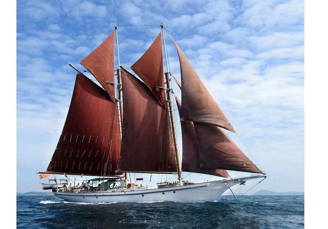 a large sailboat on the water aboard DALLINGHOO Yacht for Sale