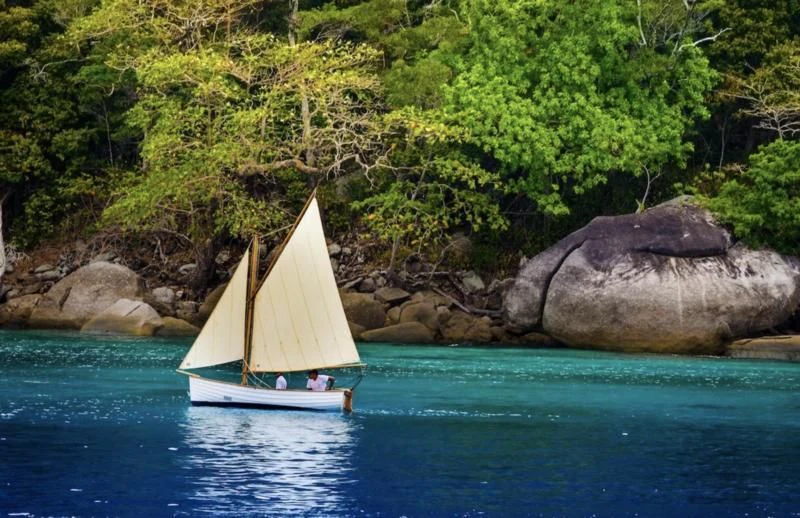 a sailboat on the water aboard DALLINGHOO Yacht for Sale
