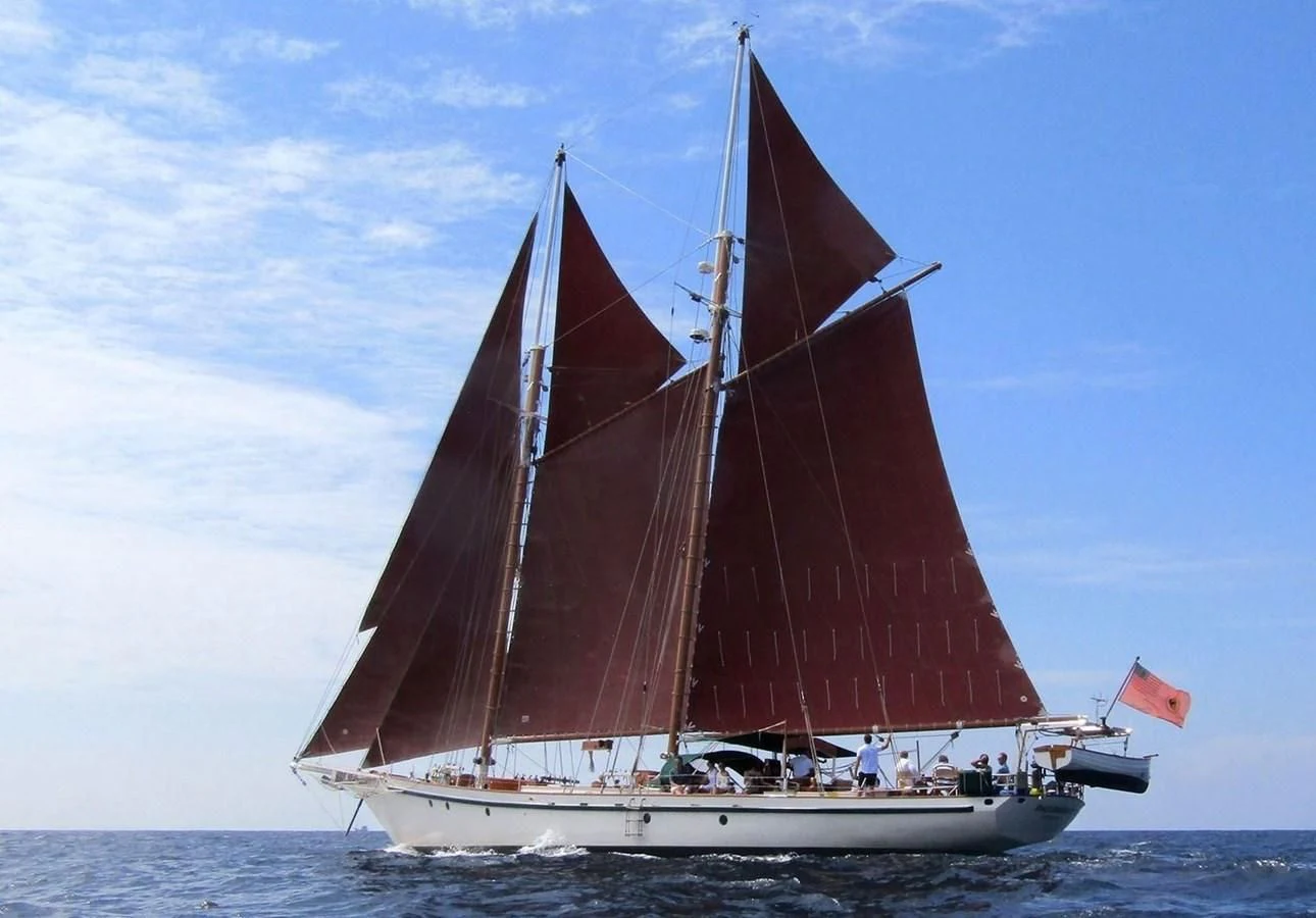 a sailboat on the water aboard DALLINGHOO Yacht for Sale