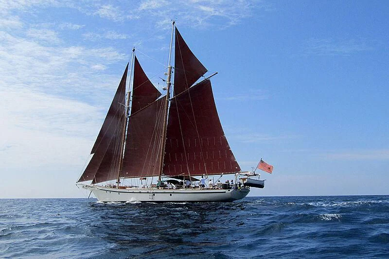 a sailboat in the water aboard DALLINGHOO Yacht for Sale