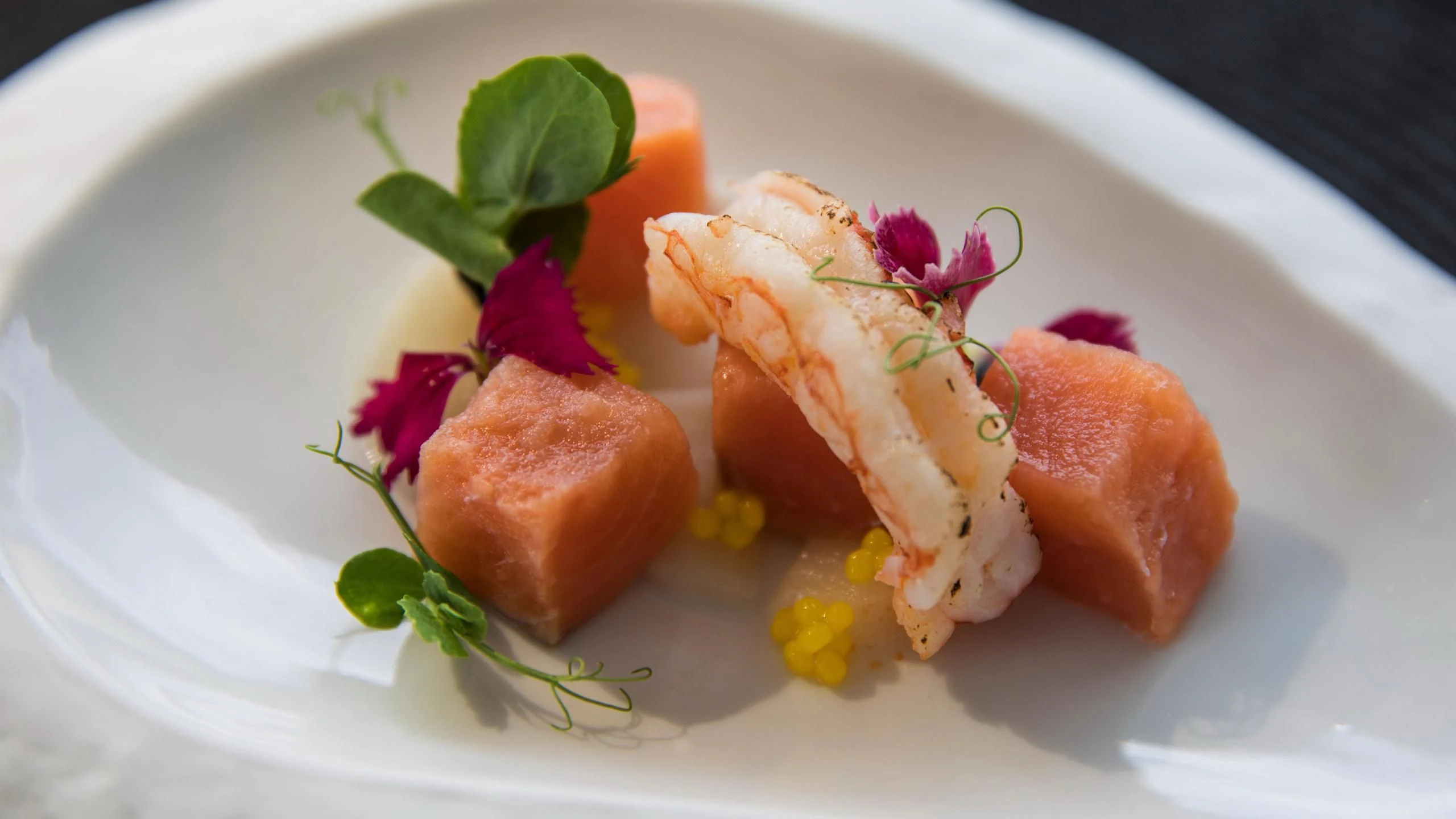 a plate of food aboard SERAPH PRIMERO Yacht for Sale