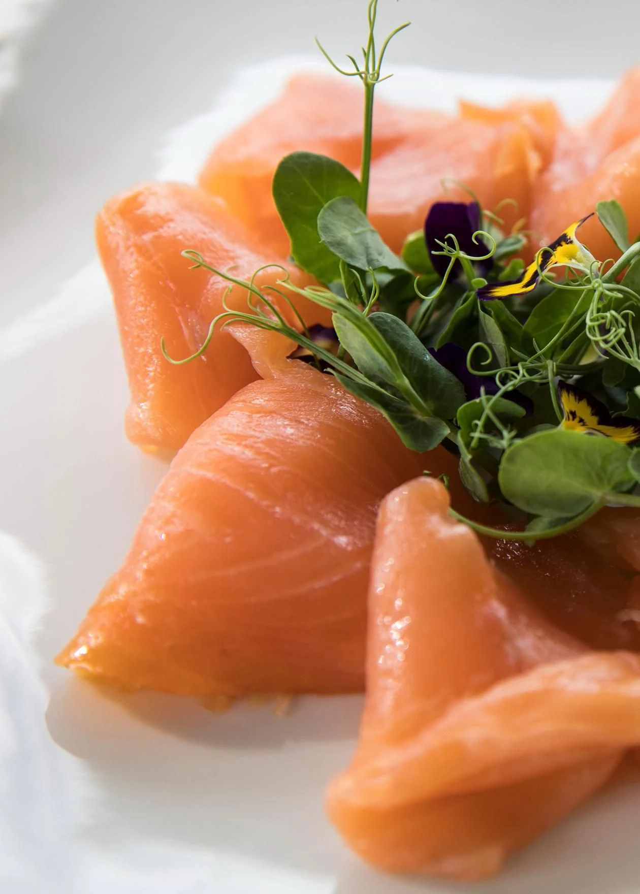 a group of orange sushi aboard SERAPH PRIMERO Yacht for Sale