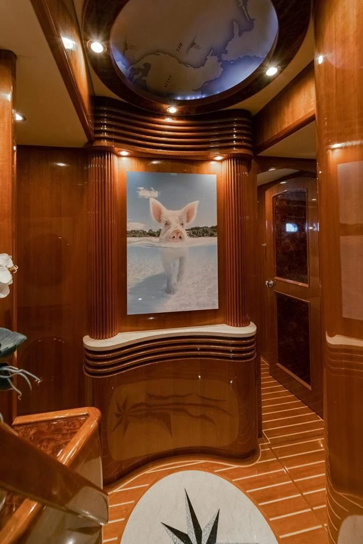 a cat in a mirror aboard DREAM CATCHER Yacht for Sale