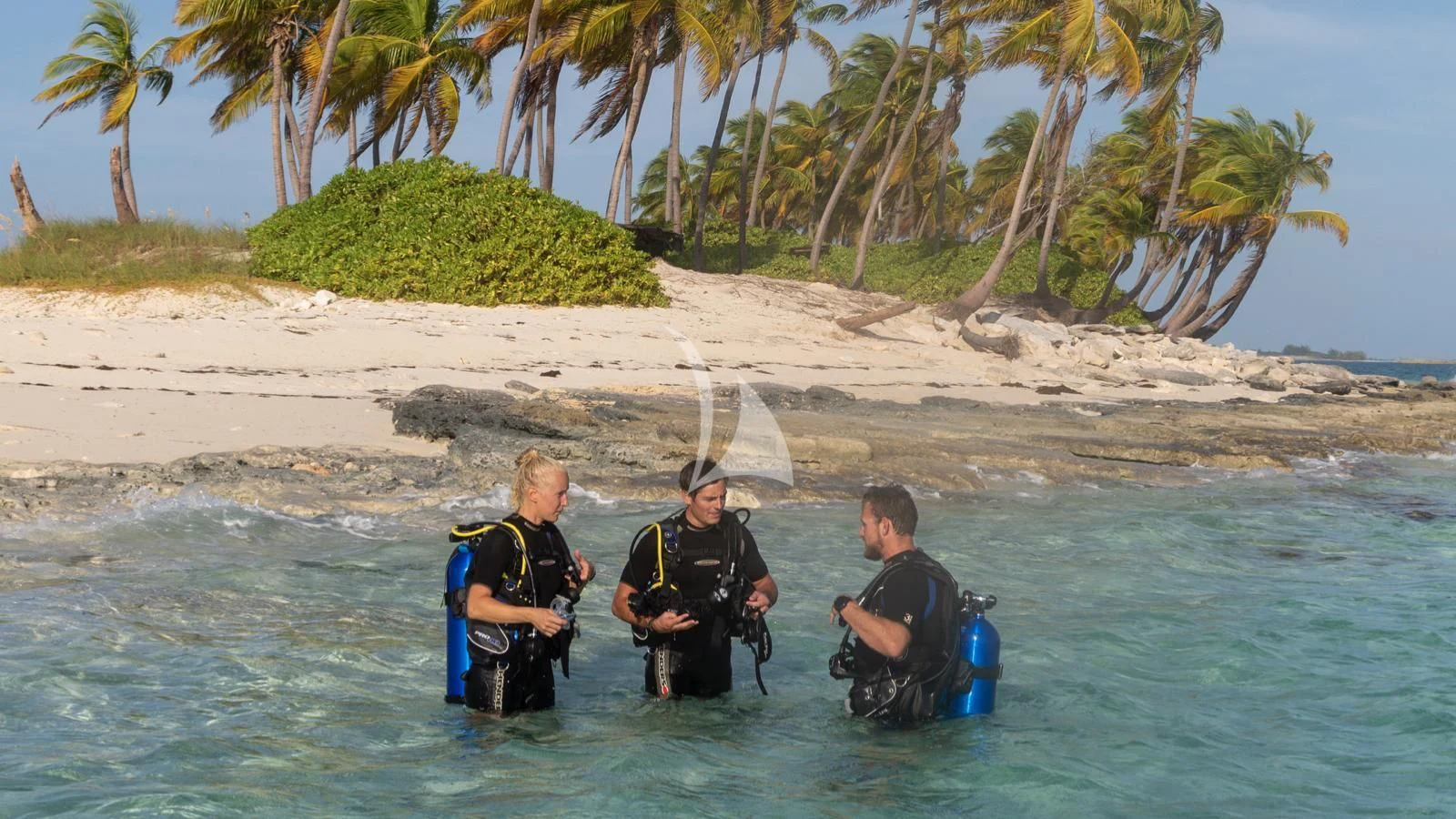 a group of men in wet suits in water with trees aboard LAUREL Yacht for Charter