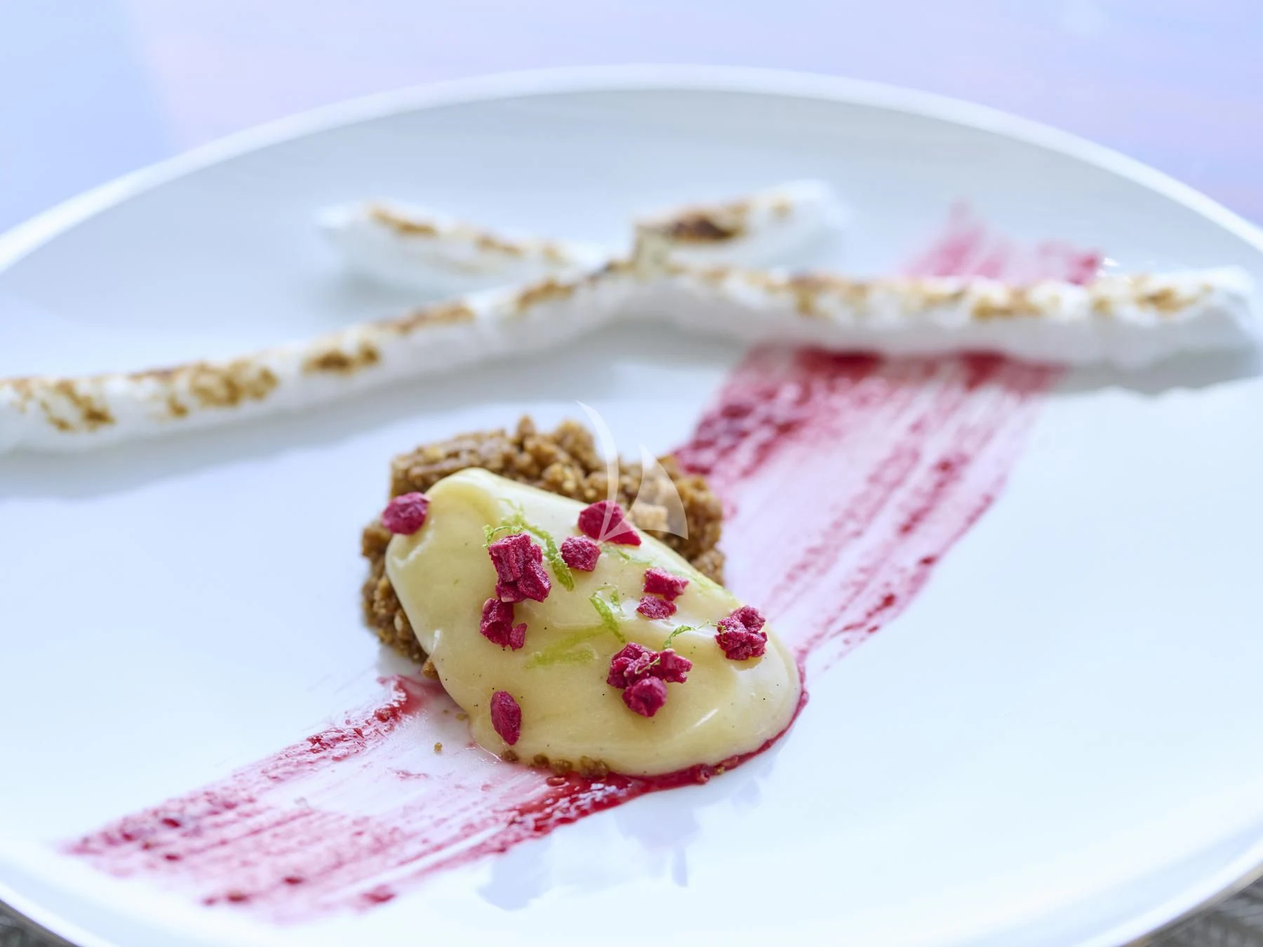 a plate of food aboard HAKUNA MATATA Yacht for Charter