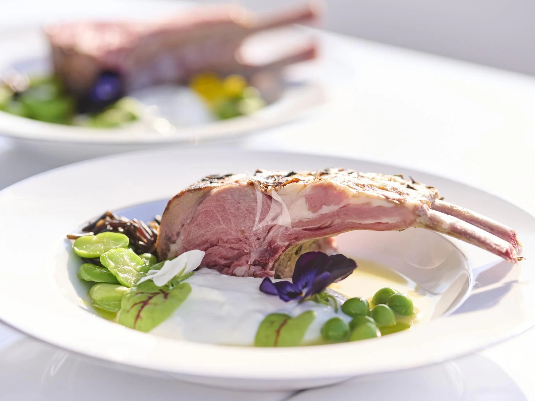 a plate of food aboard HAKUNA MATATA Yacht for Charter