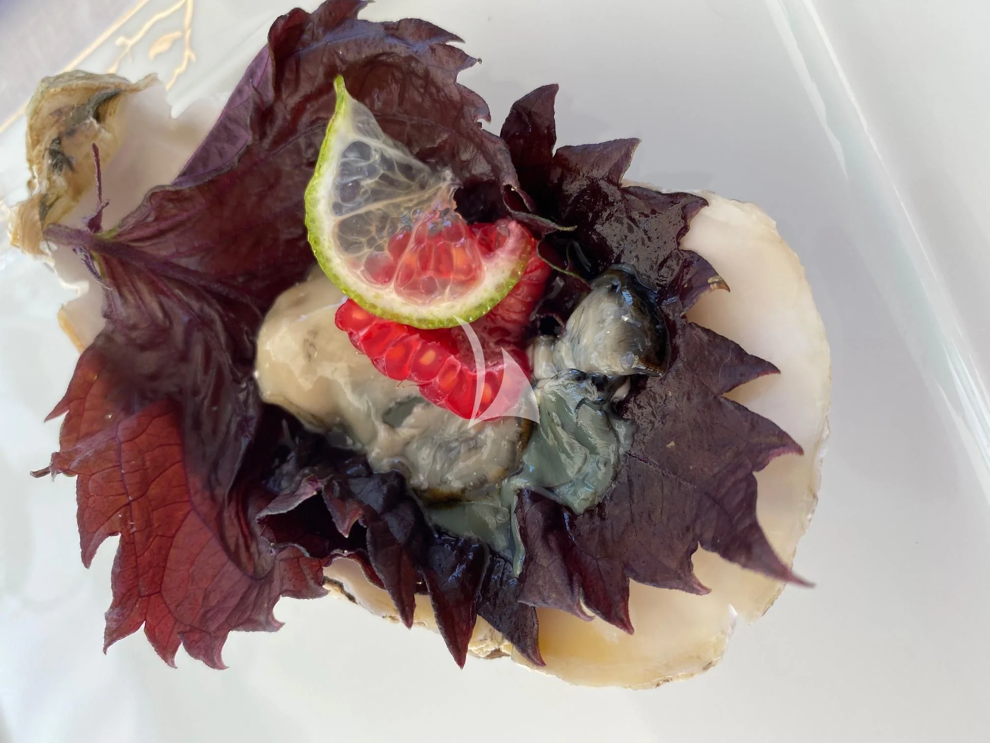 a close-up of a flower aboard VICTORIA A Yacht for Charter