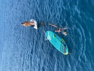 a group of ducks in the water aboard VICTORIA A Yacht for Charter