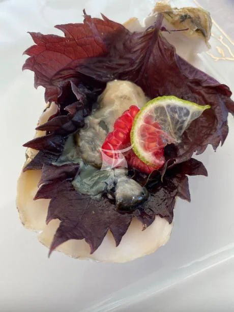 a close-up of a rose aboard VICTORIA A Yacht for Charter