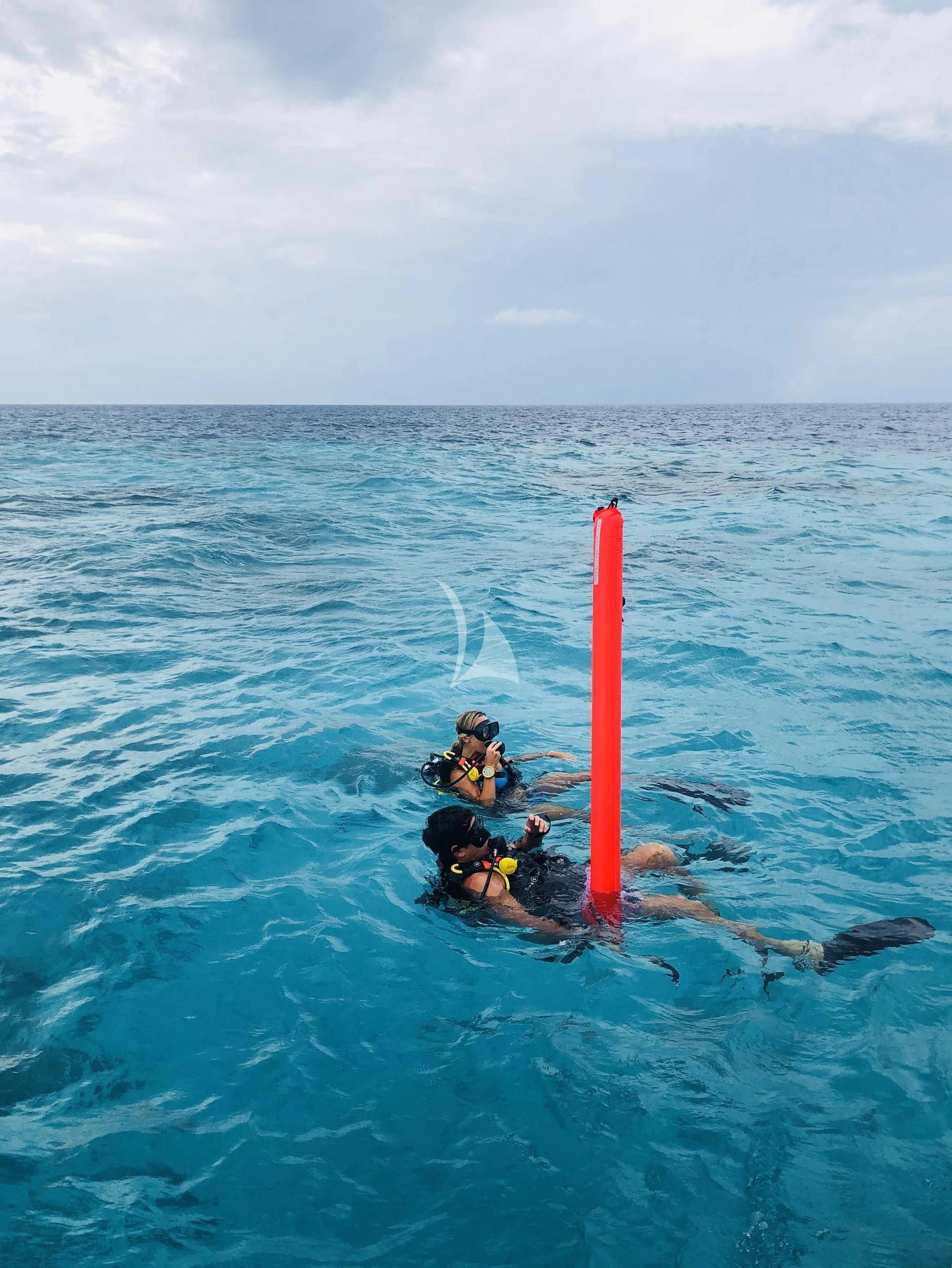 a group of people in the water aboard SEAREX Yacht for Sale