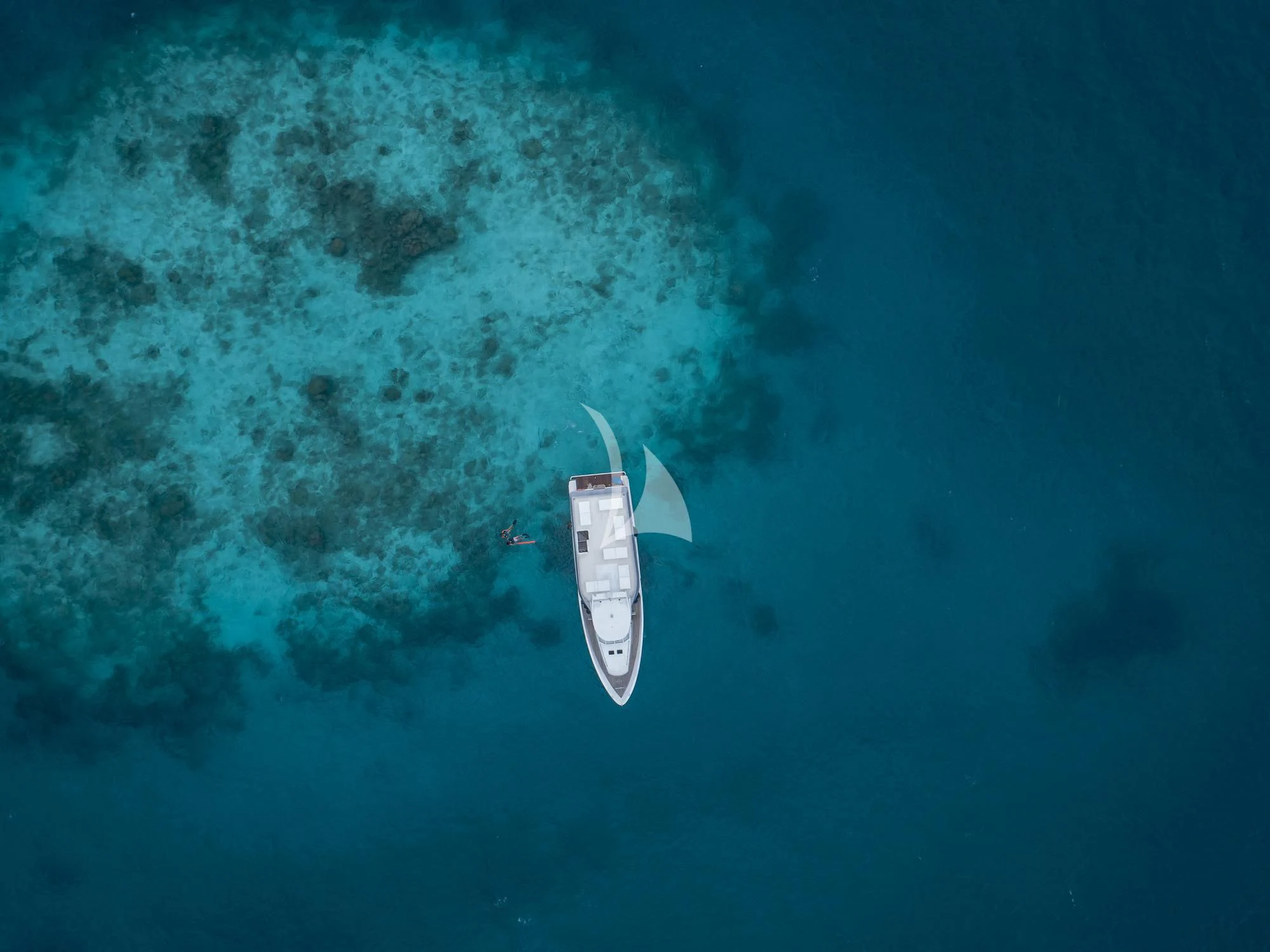 a boat in the water aboard SEAREX Yacht for Sale