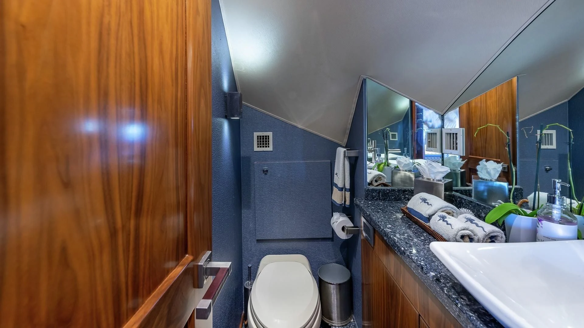 a bathroom with a sink and a toilet aboard AUSSIE RULES Yacht for Sale