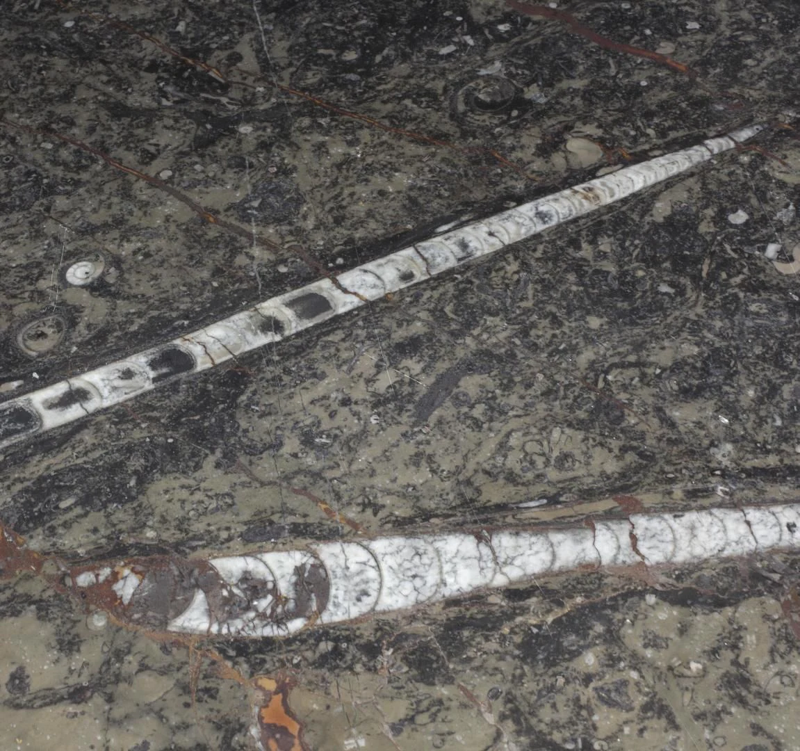 a silver metal object on a map aboard GOLDEN YACHT Yacht for Sale