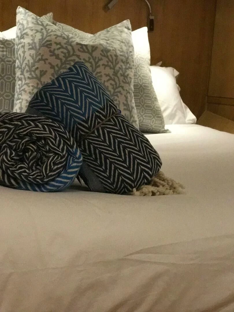 a cat lying on a bed aboard LAYSAN Yacht for Sale