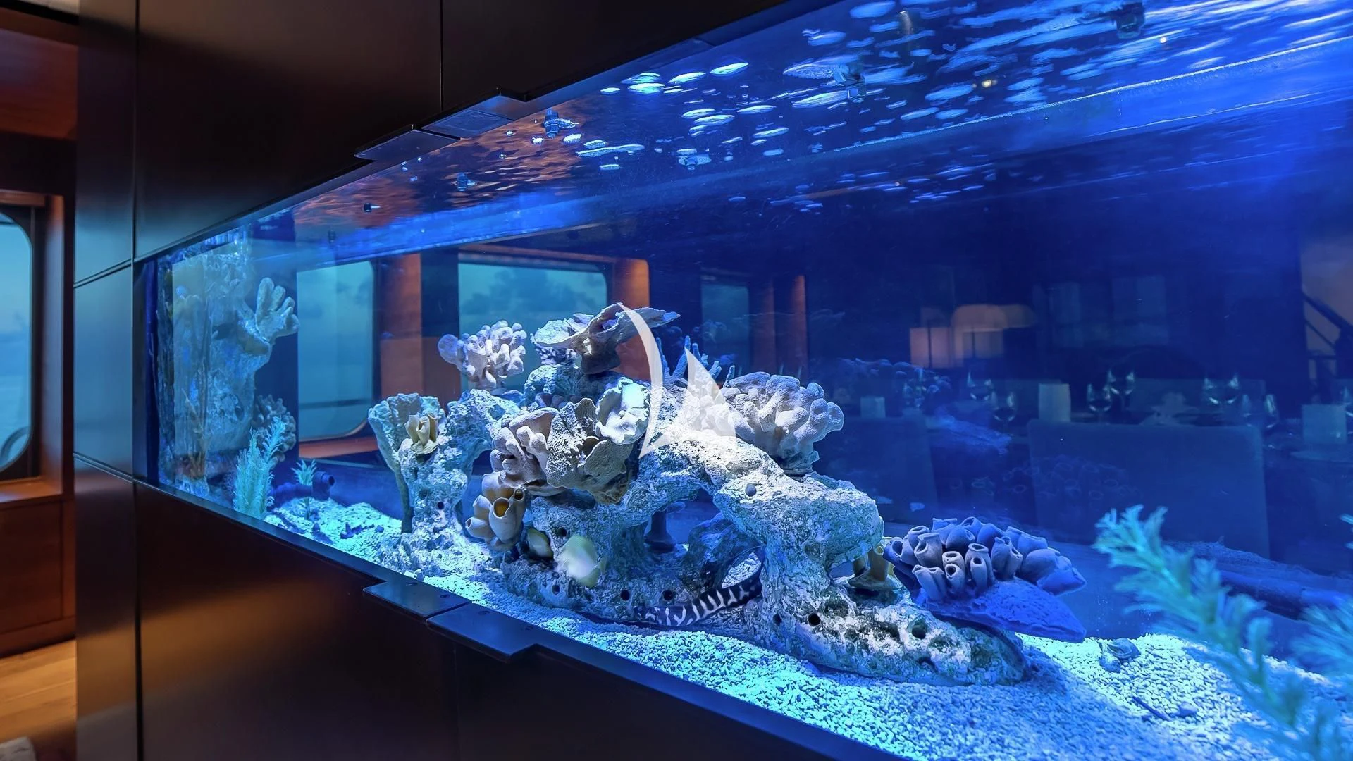a large aquarium with fish aboard ODESSA Yacht for Sale