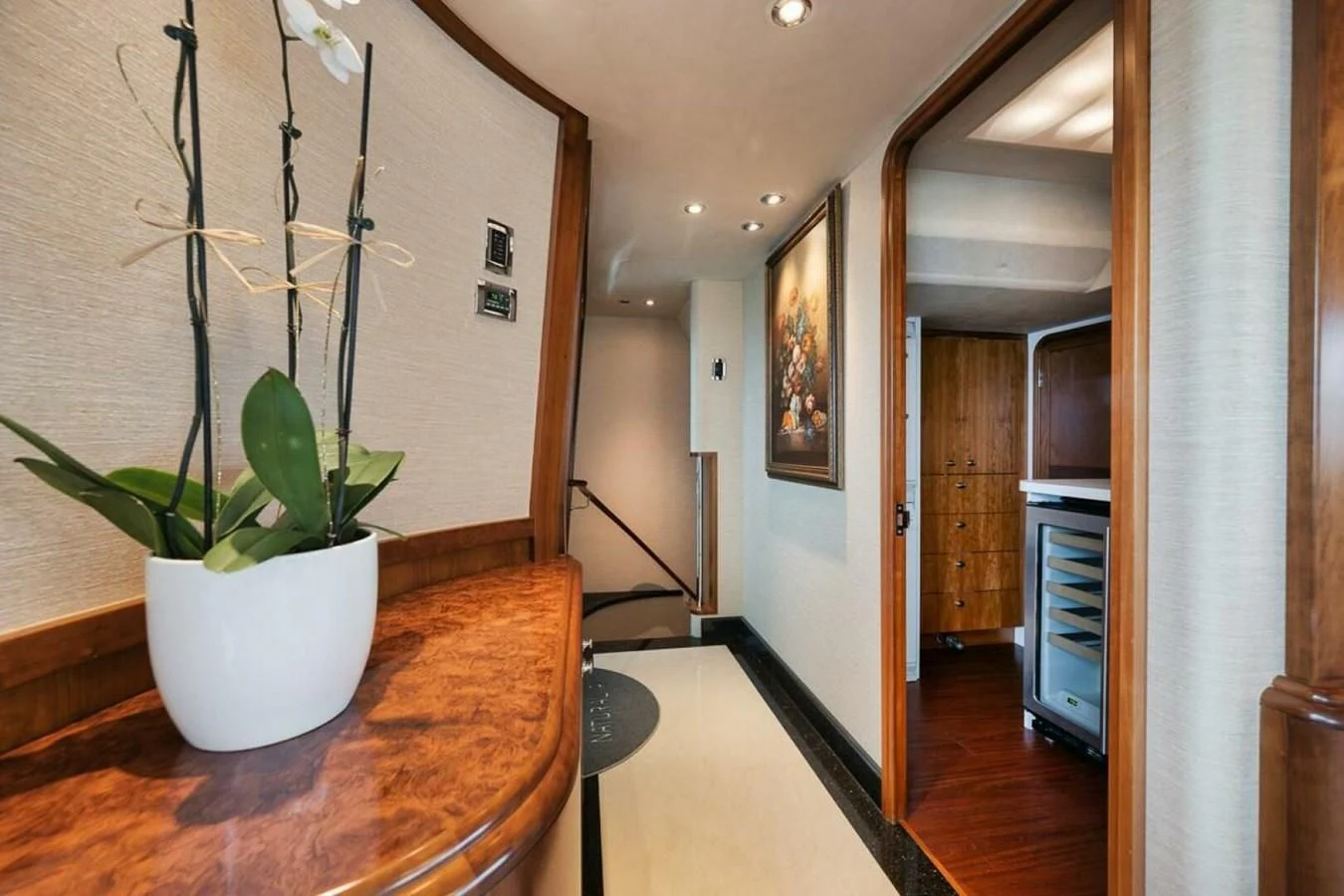 a potted plant on a counter aboard SLEEPOVER Yacht for Sale