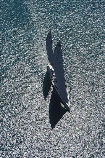 a shark swimming in the water aboard BADIS I Yacht for Sale