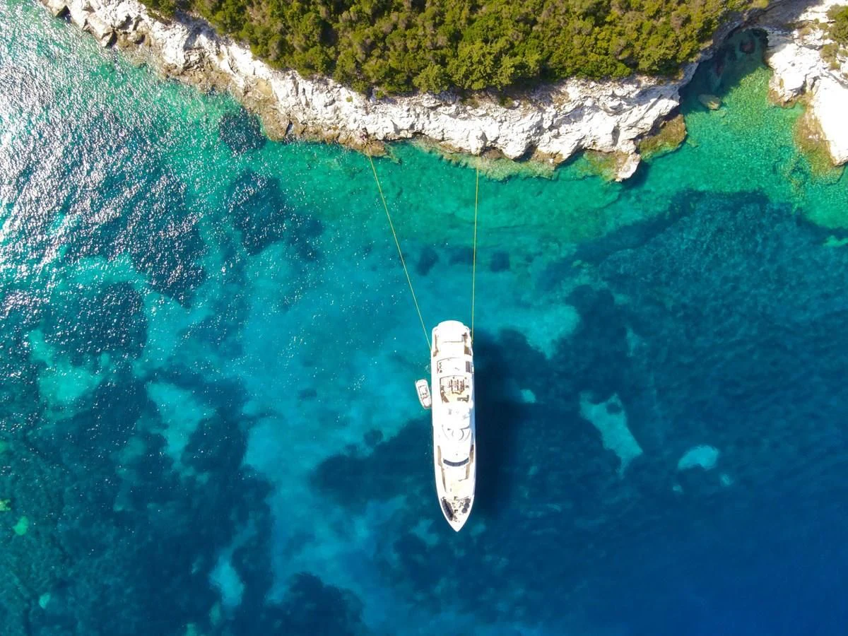 a white fish in the water aboard ANYA Yacht for Sale