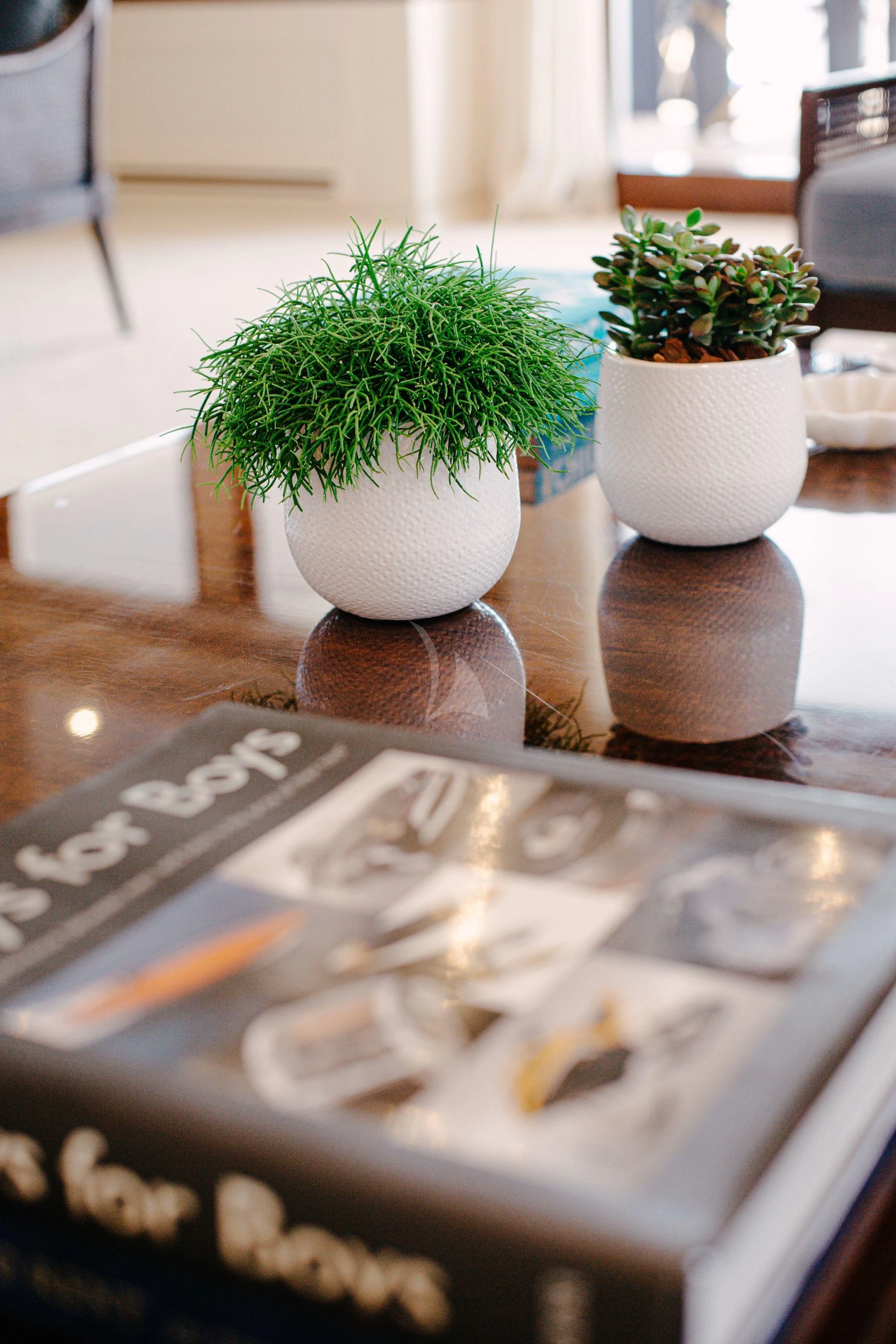 a table with a potted plant and a potted plant aboard ITOTO Yacht for Charter