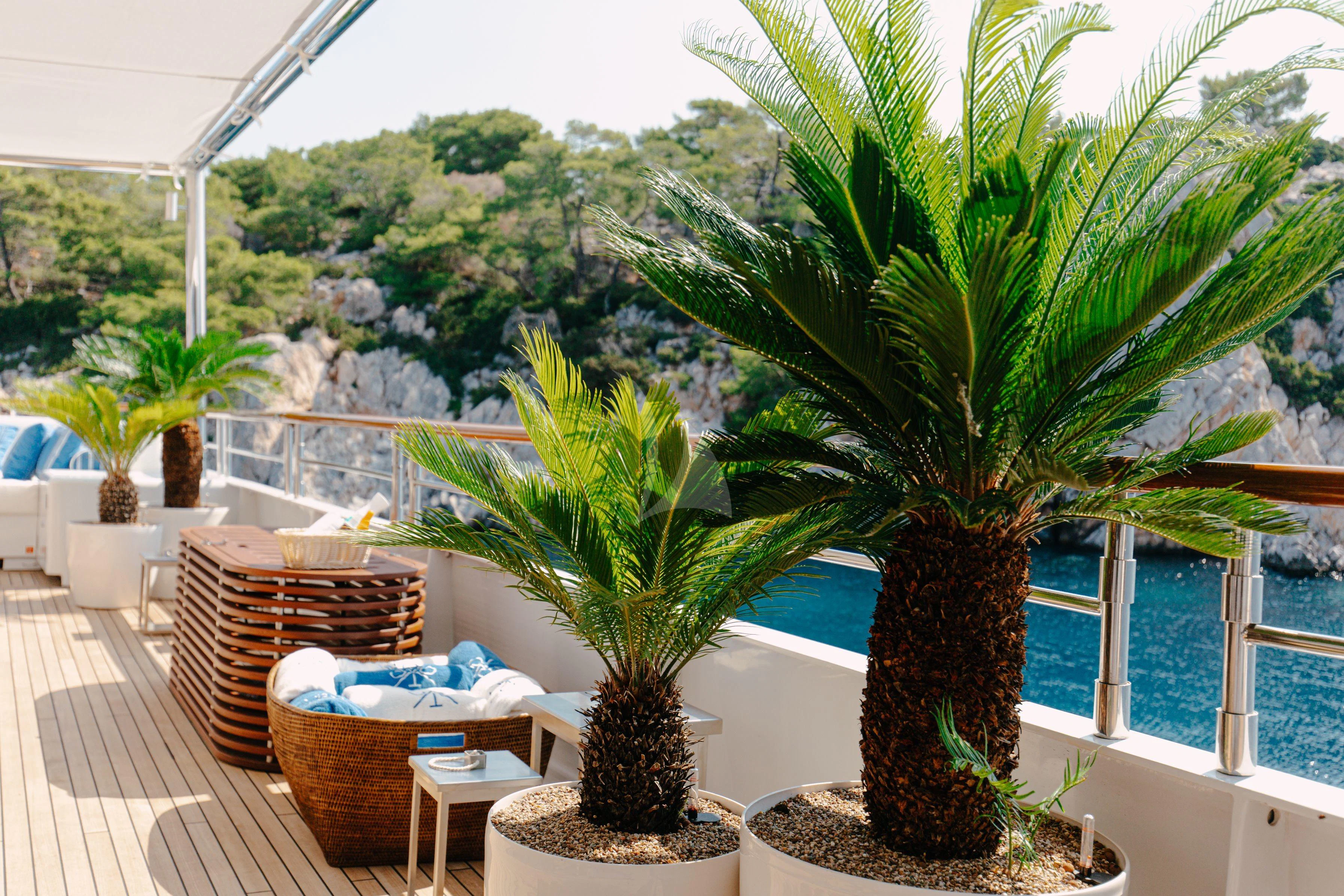 a group of potted plants on a deck aboard ITOTO Yacht for Charter