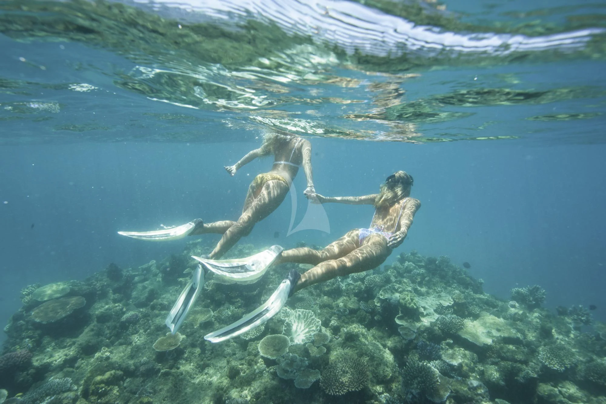 a person swimming underwater aboard FLYING FISH Yacht for Sale