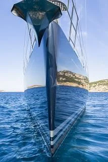 a whale jumping out of the water aboard FREEBIRD Yacht for Sale