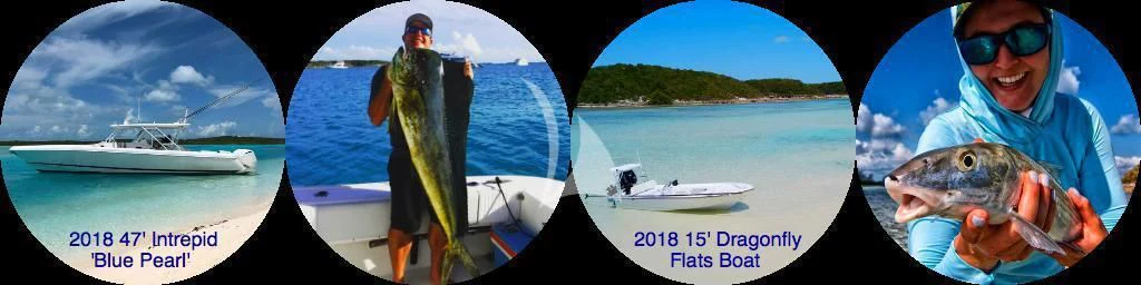 a collage of a person holding a fish aboard MARYBELLE Yacht for Sale