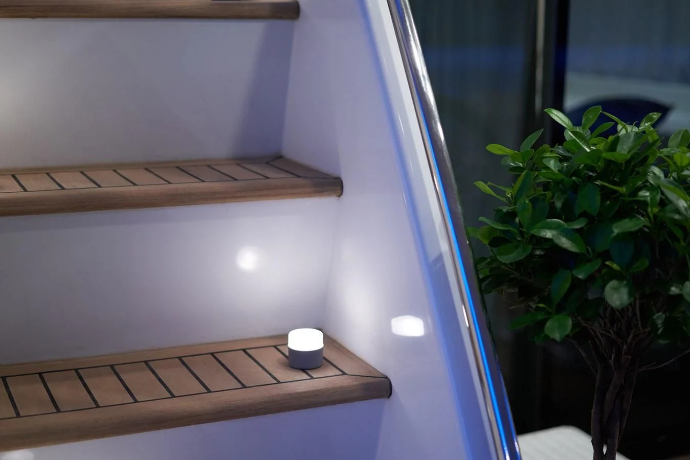 a plant on the window aboard KIAWAH II Yacht for Sale