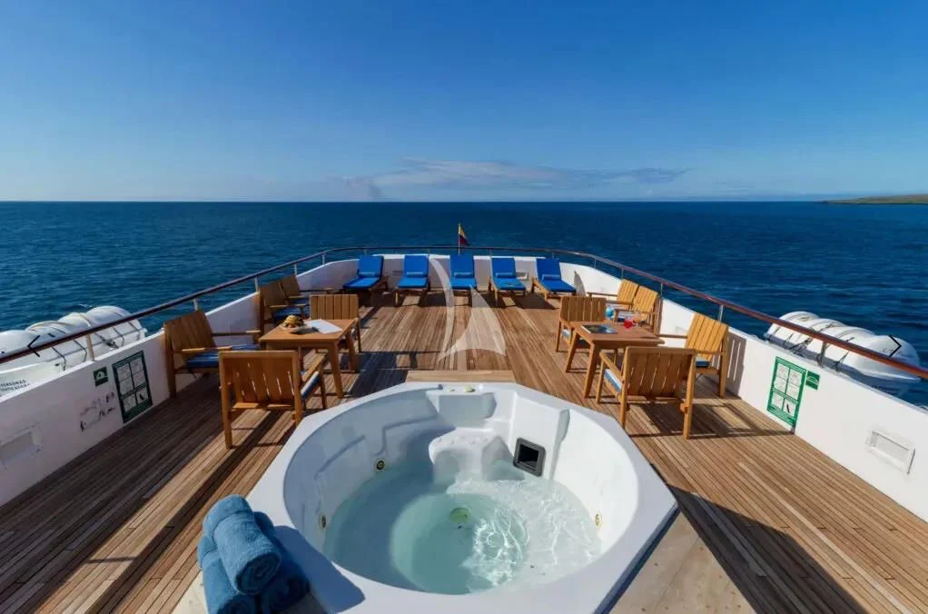 a deck with a pool and chairs on it aboard M/Y PASSION Yacht for Sale