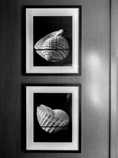 a framed picture of a horse aboard TREEHOUSE Yacht for Sale