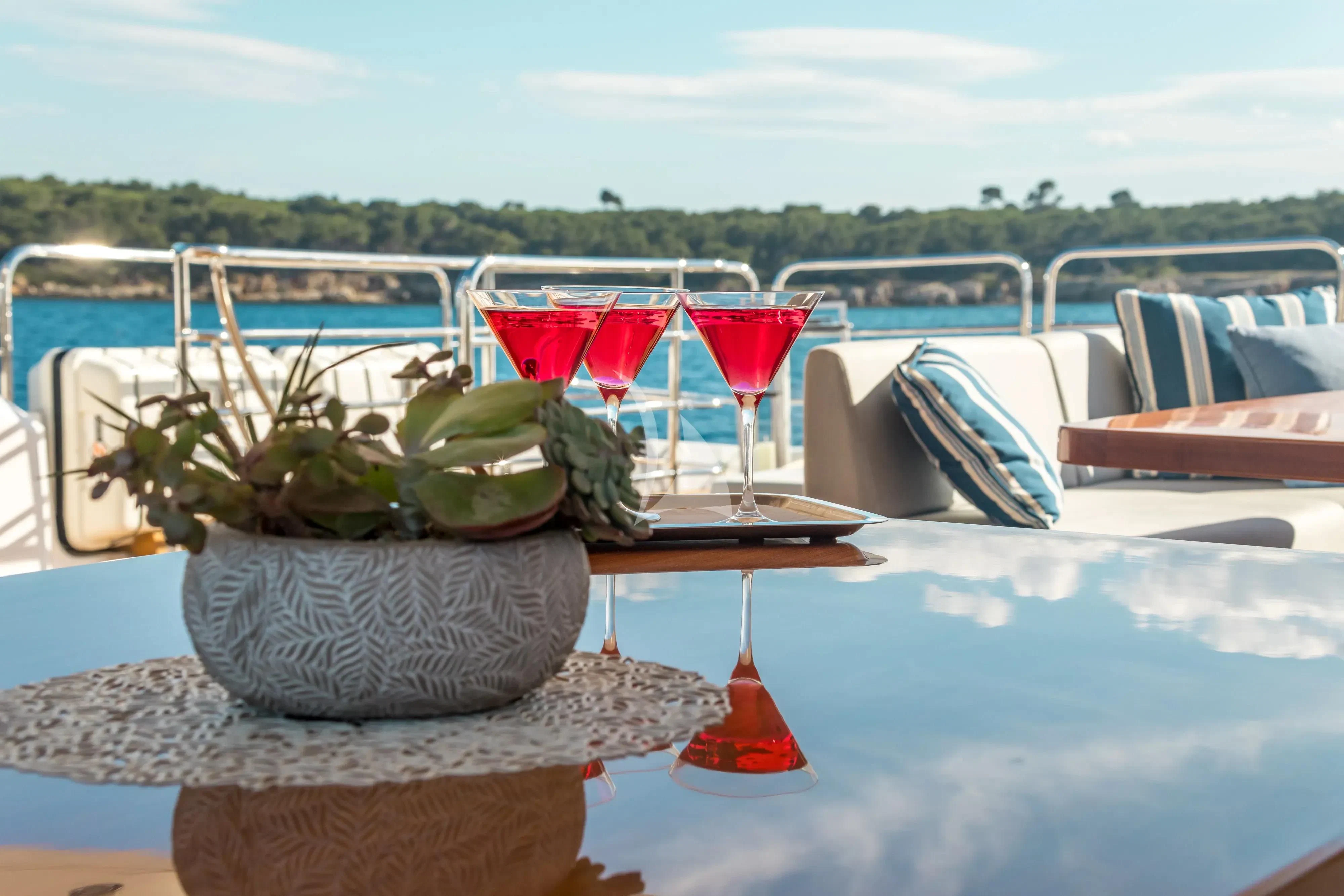 a table with a plant and a glass of wine on it aboard ARADOS Yacht for Charter